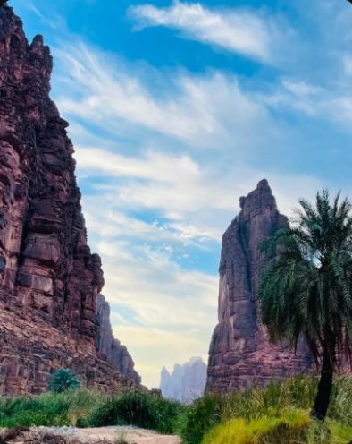 Saudi Majlis Canyon